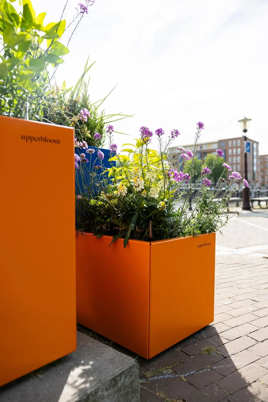 Orange planters with flowers outside the kiosk in the Spaarndammerbuurt